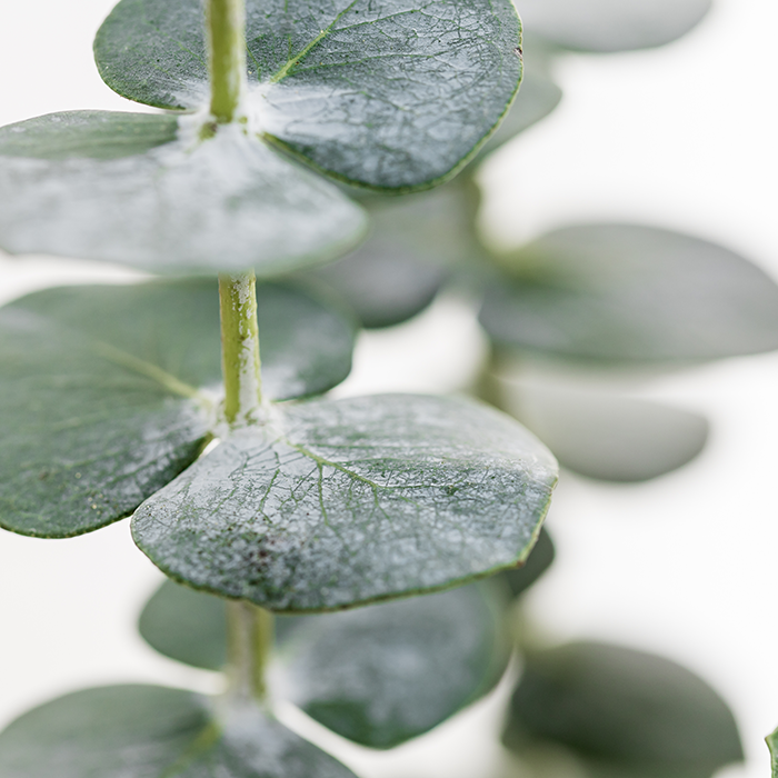 額縮小術 Thumbnail